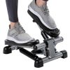 Mini Stepper with Monitor - Low Impact Black and Gray Stepper - Great Design for Working Out at Home - Stepper Machine